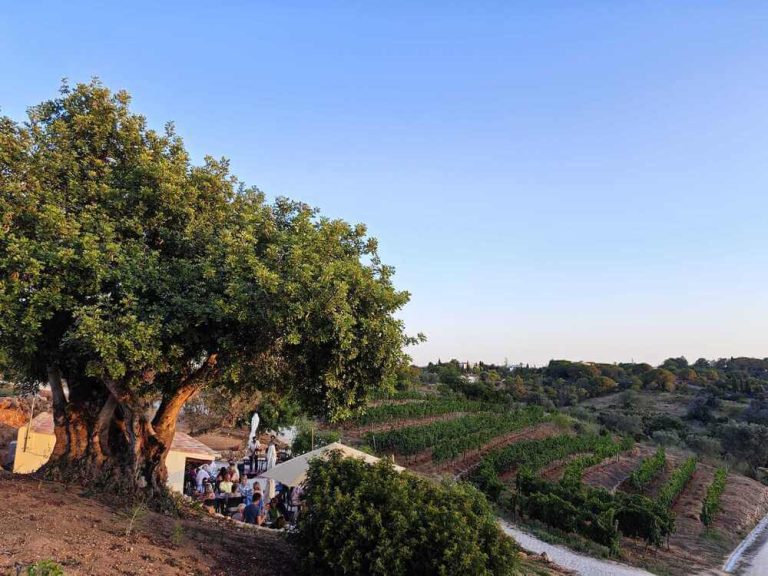 WhatsApp-Image-2023-06-27-at-10.09.49